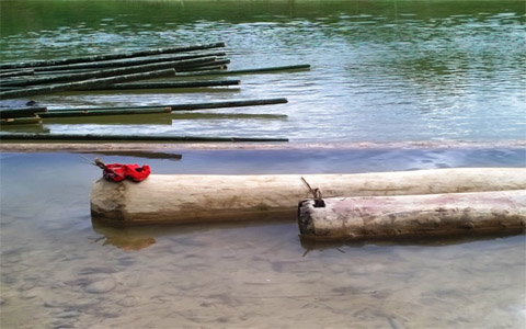 Từng đống gỗ nằm ngổn ngang bên bờ suối.