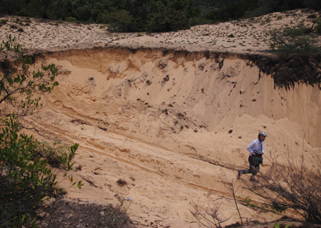 Các cồn cát được xem là địa điểm xây dựng khu nghỉ dưỡng của công ty Hòa Bình bị tàn phá nghiêm trọng (Ảnh: Đại Đoàn Kết)