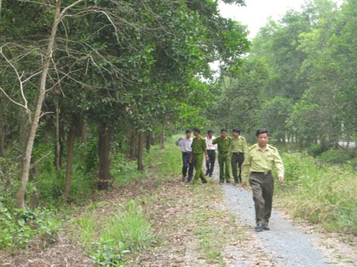 Ông Nguyễn Đình Cương trong một chuyến phối hợp đi kiểm tra rừng (Ảnh: nongnghiep.vn)