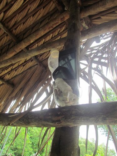 Ở rừng Cần Giờ, điện thoại thường xuyên treo trên mái nhà (Ảnh: nongnghiep.vn)