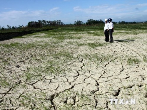 Ảnh minh họa: TTXVN