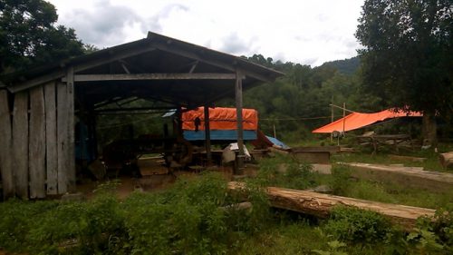 Xưởng chế biến gỗ nằm ngay trong khuôn viên Trạm BVR Cao Vều (Ảnh: nongnghiep.vn)