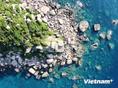Bảo vệ môi trường biển và hải đảo (Ảnh: VietnamPlus)