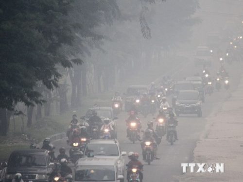 Khói mù dày đặc tại Pekanbaru, Indonesia ngày 16/9 (Ảnh: AFP/TTXVN)