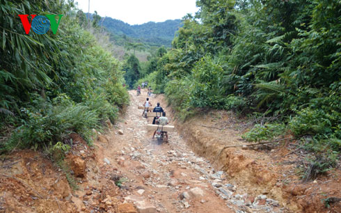 Vận chuyển gỗ lậu từ Bãi Pháo ( Phước Hiệp, Phước Sơn, Quảng Nam) ra Quốc lộ 14E để chuyển về đồng bằng tiêu thụ (Ảnh: VOV Online)
