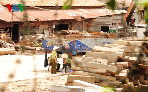 Xưởng gỗ trên đường Y Wang (Ảnh: VOV Online)