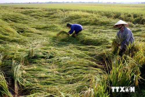 Ảnh minh họa: Đình Huệ/TTXVN