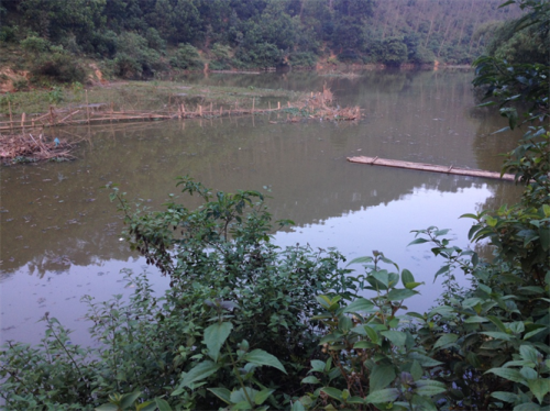 Khu vực đập thôn Đồng Hen (xã Vũ Linh) “bể chứa” nước thải của nhà máy sắn (Ảnh: nongnghiep.vn)