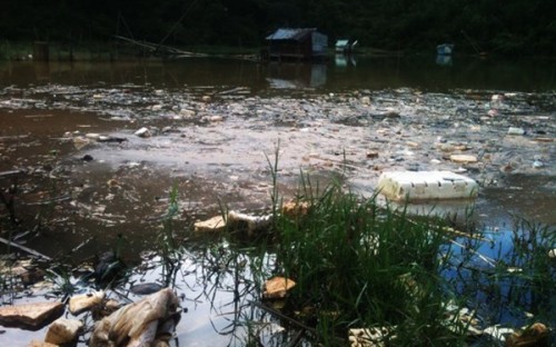 Các hồ ở Đà Lạt đang bị ô nhiễm trầm trọng (Ảnh: Dân Việt)