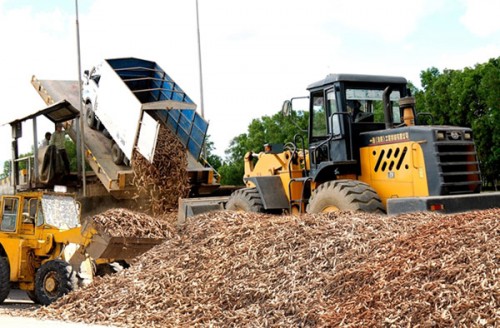 Muốn khống chế được diện tích sắn trong quy hoạch cho phép thì phải kiểm soát số lượng và công suất các nhà máy chế biến sắn (Ảnh: Diễn đàn Doanh nghiệp)