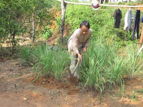 Người dân TĐC ở Bình Thành thiếu đất sản xuất trầm trọng (Ảnh: nongnghiep.vn)