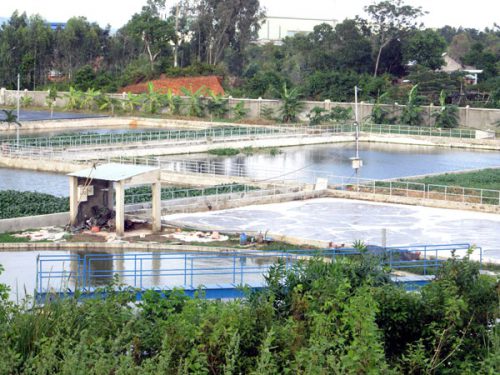 Ảnh: Diễn đàn Doanh nghiệp