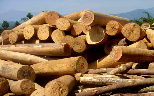 Ngừng tạm nhập tái xuất gỗ tròn, gỗ xẻ từ rừng tự nhiên từ Lào và Campuchia. (Ảnh: KT/VOV Online)