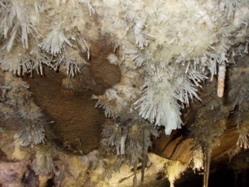 Nhũ đá stromatolite.  (Ảnh: Đoàn thám hiểm cung cấp)