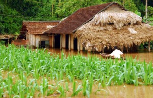 Ảnh minh họa: unescovietnam.vn