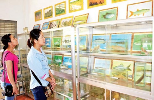 Nhiều hình ảnh, mẫu vật các loài cá trưng bày tại khu bảo tồn (Ảnh: Sài Gòn Giải Phóng)