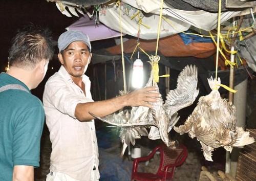 Nhiều loài chim bị săn bắt, buôn bán trái phép (Ảnh: Sài Gòn Giải Phóng)