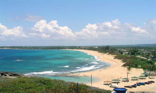 Ảnh minh họa: petrotimes.vn