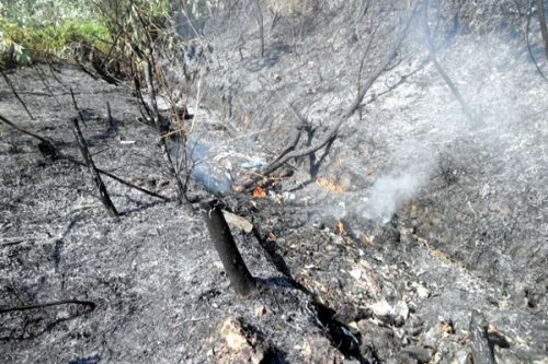 Khoảng 11h20, đám cháy đã được khống chế. (Ảnh: TTXVN)