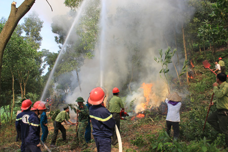 Cần có biện pháp chống cháy rừng trở lại tại xã Quang Tiến, huyện Sóc Sơn vì hiện nay đang là thời điểm cấp báo cháy rừng ở cấp cao nhất. (Ảnh; Báo HàNộiMới)