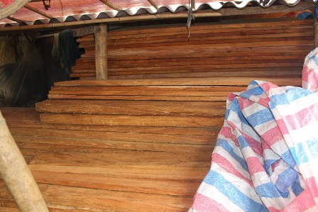 Đây là kho nghiến nằm ở phía sau nhà ông Triệu. Ông cho hay đây là gỗ của một bà chủ ở thị trấn Thông Nông gửi. 