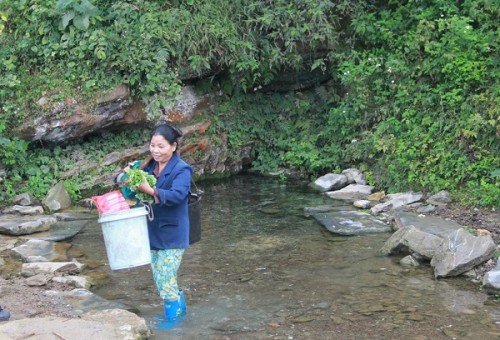 Mó nước ở thôn Đoỏng Pán, xã Độc Lập (Quảng Uyên, Cao Bằng) quanh năm nước xanh mát, là nguồn nước sinh hoạt của người dân nơi đây.