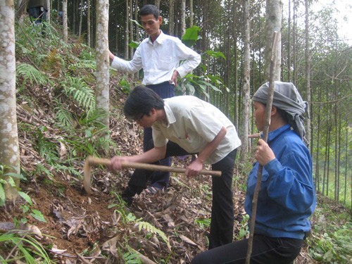 Hướng dẫn đồng bào chăm sóc rừng. (Ảnh: Văn Thông)