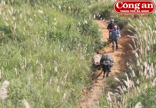 Đường kéo gỗ. (Ảnh: Ngọc Oanh)