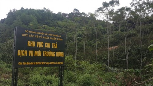 Một góc khu vực được chi trả DVMTR tại huyện Tương Dương. (Ảnh: nongnghiep.vn)