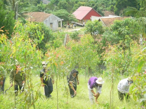 Người dân làng Hợp, huyện K’Bang, Gia Lai, trồng rừng trên vùng đất trống đồi trọc. (Ảnh: Văn Thông/TTXVN)