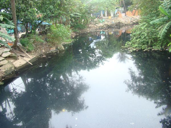 Quy định xác định thiệt hại đối với môi trường