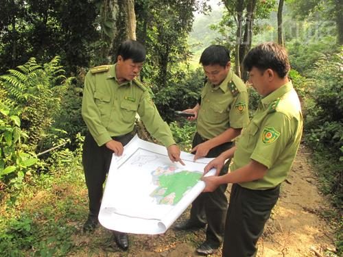 Khoanh vùng trọng điểm để phòng cháy. (Ảnh: Vương Hùng)