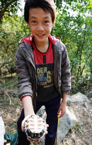 Em Hứa Điền Minh Nhật, ở xã Hòa Phú, huyện Hòa Vang, khoe con rùa gần 0,5kg vừa bắt được. (Ảnh: Sài Gòn Giải Phóng)