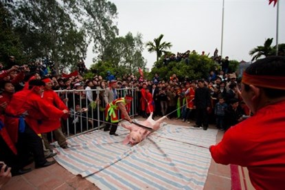 Tổ chức Động vật châu Á đã đề nghị chấm dứt Lễ hội Chém lợn ở Bắc Ninh. (Ảnh: Dân Việt)