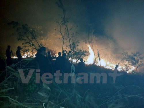 Lực lượng chức năng cùng người dân tiến hành dập lửa. (Ảnh: Nguyễn Hoàng/Vietnam+)