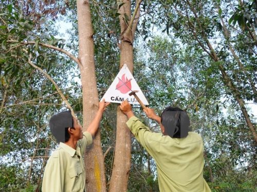 Cán bộ Ban Quản lý rừng lắp đặt biển báo nhằm nâng cao ý thức bảo vệ rừng trong nhân dân. (Ảnh: Quang Quyết – TTXVN)