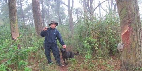 130215_kiemlamkhongluong