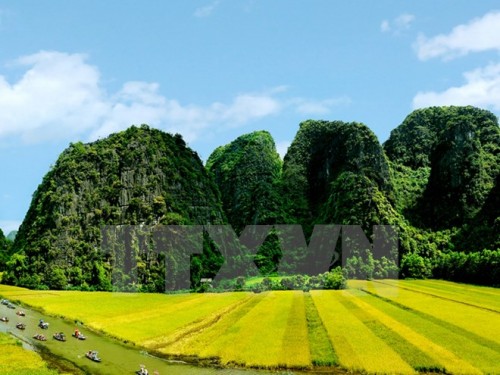 Việt Nam hướng tới nghiên cứu khoáng sản ẩn sâu trong lòng đất, biển khơi và bảo vệ di sản (Ảnh: TTXVN)