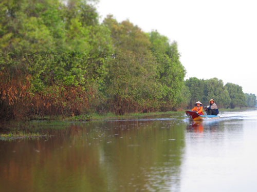 Hệ sinh thái ngập nước Tràm Chim, Đồng Tháp có nguy cơ suy thoái đa dạng sinh học vì hệ thống thủy điện trên sông Mê Kông. (Ảnh: Minh Khang)