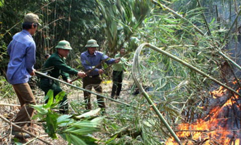 Cục Kiểm lâm cho biết, do thời tiết hanh khô  hiện 10 tỉnh có nguy cơ cháy rừng cao. (Ảnh: Đại Đoàn Kết)