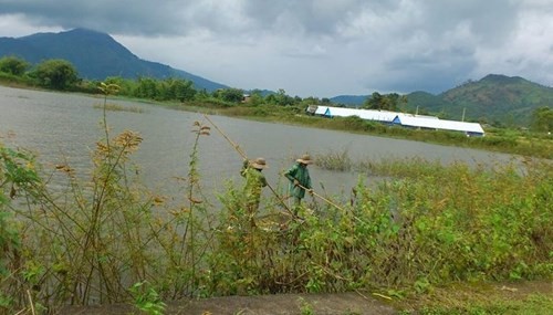 Giữa ban ngày dùng thuyền rà cá bằng xung điện công suất lớn. (Ảnh: Giáo dục & Thời đại)