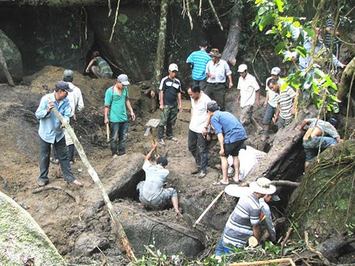 Một nhóm phu trầm đang đào kỳ nam ở khu vực rừng Gộp Ngà (huyện Khánh Sơn, tỉnh Khánh Hòa). (Ảnh: nld.com.vn)