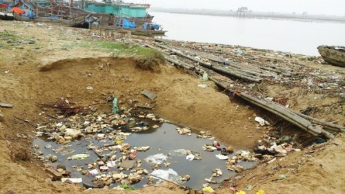 05032015_kinhhoangbienrac