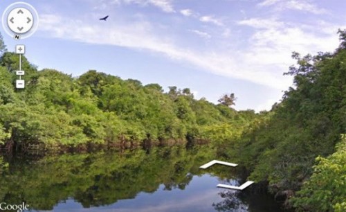 Rừng Amazon trên Google Street View. (Ảnh: VietnamPlus)