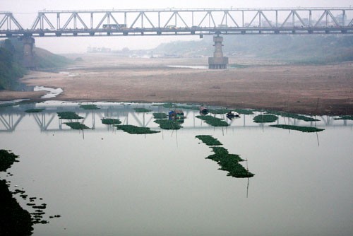Mực nước sông Hồng xuống thấp, gây khó khăn cho sản xuất nông nghiệp. (Ảnh: Phương An)