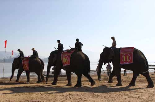 12032015_lehoiduavoi2