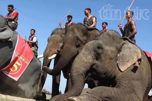 12032015_lehoiduavoi3