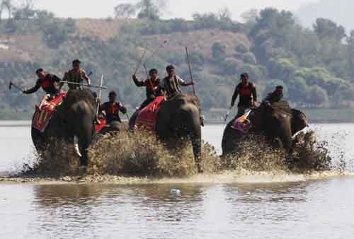 12032015_lehoiduavoi5