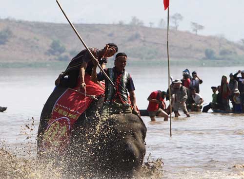 12032015_lehoiduavoi6