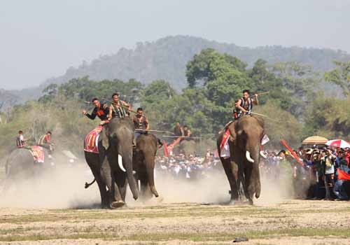 12032015_lehoiduavoi8